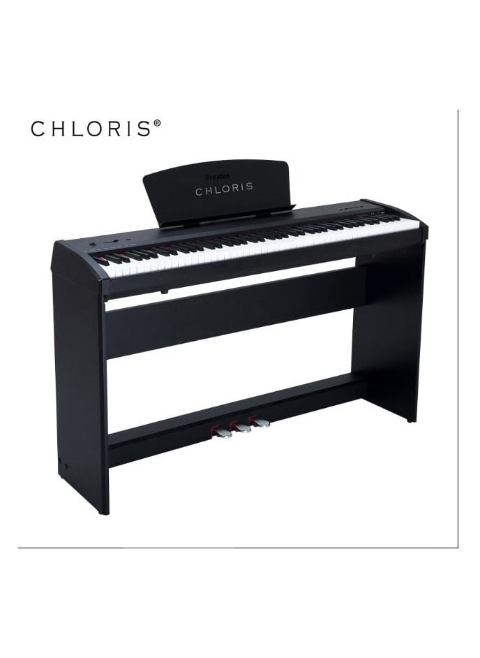 CHLORIS 88 Keys CHLORIS CDU-45 with hammer action  - Image 1