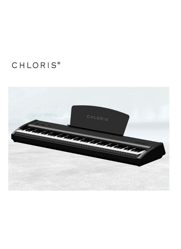 CHLORIS 88 Keys CHLORIS CDU-45 with hammer action  - Image 3