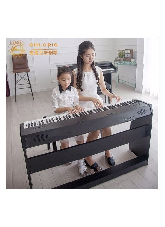 CHLORIS 88 Keys CHLORIS CDU-45 with hammer action  - Image 4