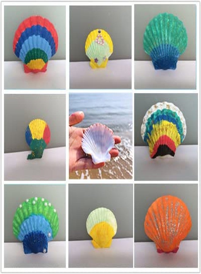 PLOOTA 15 Pcs Sea Shells (3.1-3.5inch) White Large Scallop Shells for Baking Cooking, Big Natural Clam Seashells for DIY Crafts Seashell Beach Decorating for Home Decor - Image 4