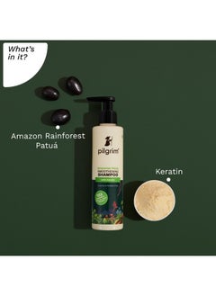 PILGRIM Patuá & Keratin Hair Smoothening Shampoo For Dry & Frizzy Hair | Sulphate & Paraben Free Shampoo For Women & Men | Shampoo For Hair Smoothening & Healthy Scalp | 200 Ml  - Image 3