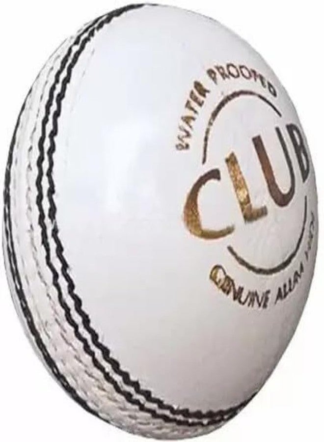 LABH TRADERS Club White Leather Cricket Ball, Genuine Alum Tanned, Match Practice - Image 1