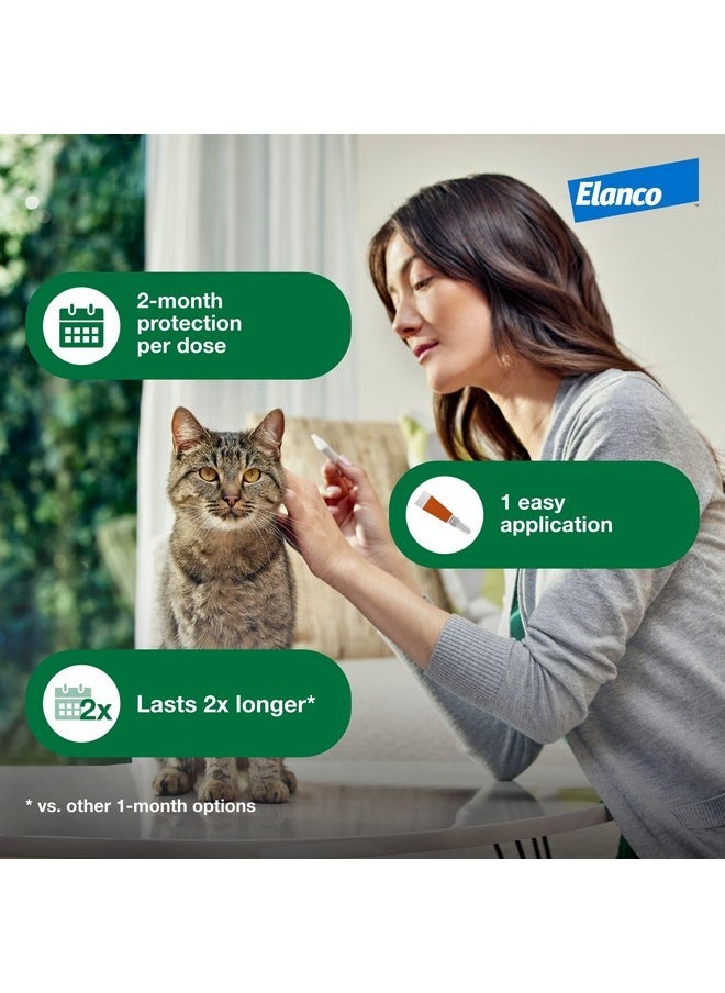 Advantage Advantage XD Small Cat Flea Prevention & Treatment For Cats 1.8-9lbs. | 4-Topical Doses, 2-Months of Protection Per Dose  - Image 5