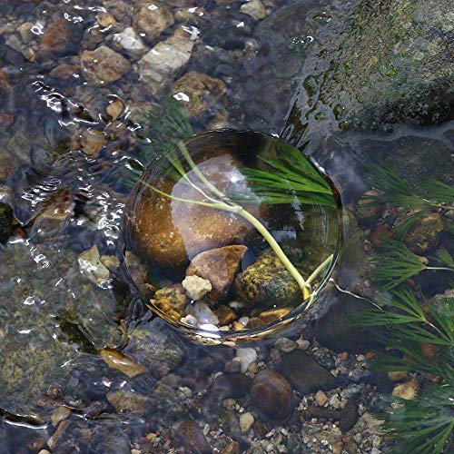 BIJIA 4 Inch Acrylic Paperweight Reading Magnifying Glass/Dome Magnifier/Paperweight Optical Half Ball Lens (95mm) - Image 5