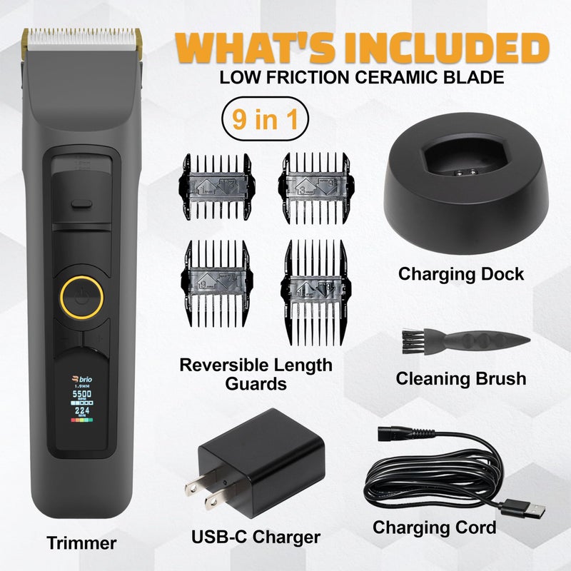Brio Beardscape V2 Beard Trimmer for Men Professional with Low Friction Ceramic Blade, Cordless Professional Hair Trimmer for Barbers with 4 Hrs of Long Battery Timing, Ideal for Beard & Body (Gray) - Image 2