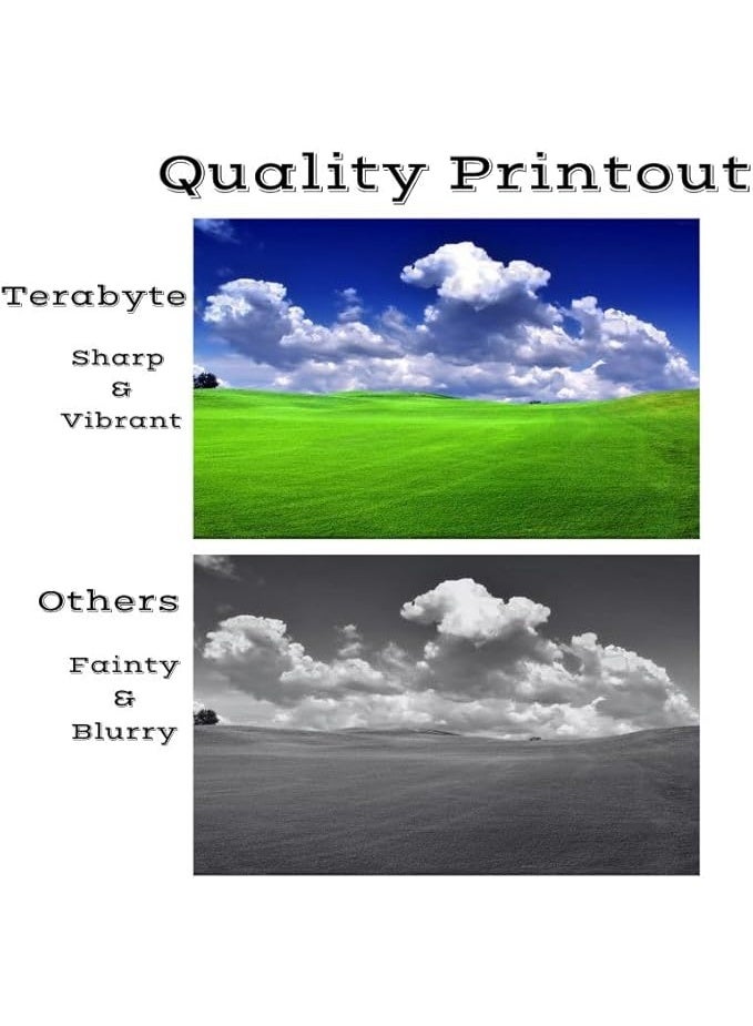 Terabyte 4-Color TN273 compatible Toner Cartridge Set for MFC-L3750CDW DCP-L3510CDW DCP-L3551CDW HL-L3210CW and HL-L3270CDW Printers - Image 2