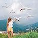 OULUN 8Pcs Large Realistic Seagull Balloons Flying Seagull Inflatable Toy Blow Up Summer Beach Bird Balloons Flying Swimming Pool Outdoor Hawaiian Pool Party Decorations - Image 4