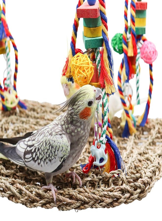 Oooct Large Bird Swing Toys, Colorful Parrot Seagrass Mat Hammock with Blocks, Bird Foraging Toy, Bird Cage Accessories, Suitable for Small to Medium Birds Parakeets Lovebirds Cockatiels 15.7 × 11.8 Inches - Image 4