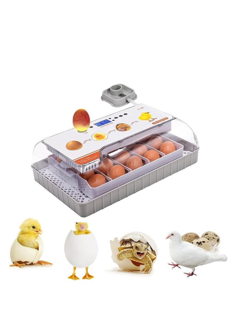 Generic Digital Egg Incubator 20 Eggs Poultry Hatcher with Auto Egg Turning Temperature Control LED Light Temperature Humidity Alarm Incubator for Chicken Ducks Bds Eggs  - Image 1