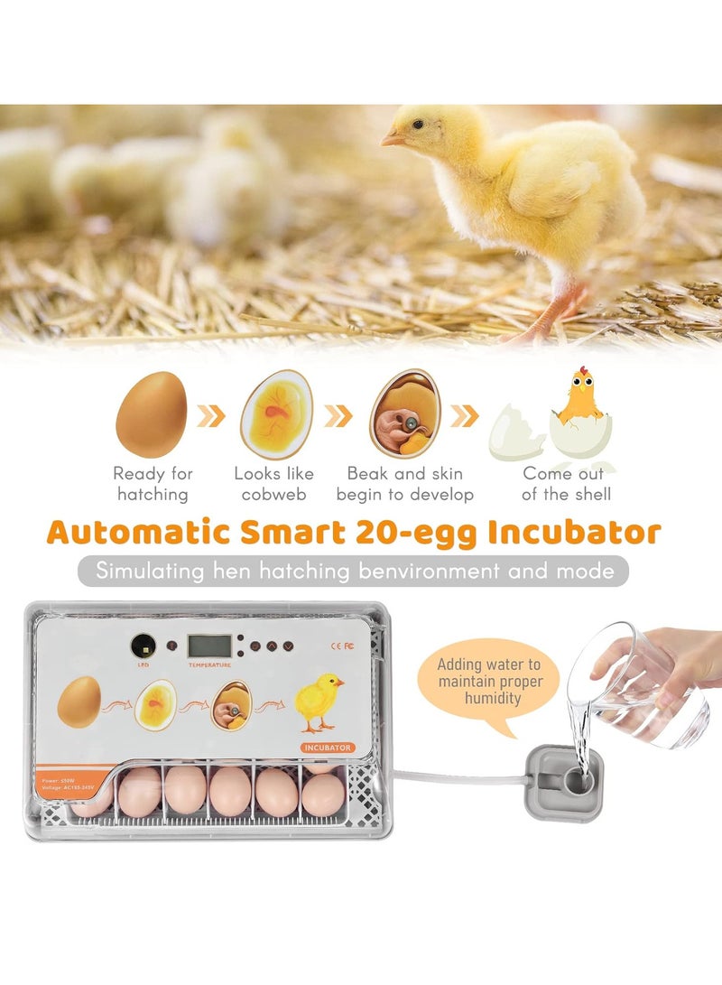 Generic Digital Egg Incubator 20 Eggs Poultry Hatcher with Auto Egg Turning Temperature Control LED Light Temperature Humidity Alarm Incubator for Chicken Ducks Bds Eggs  - Image 4