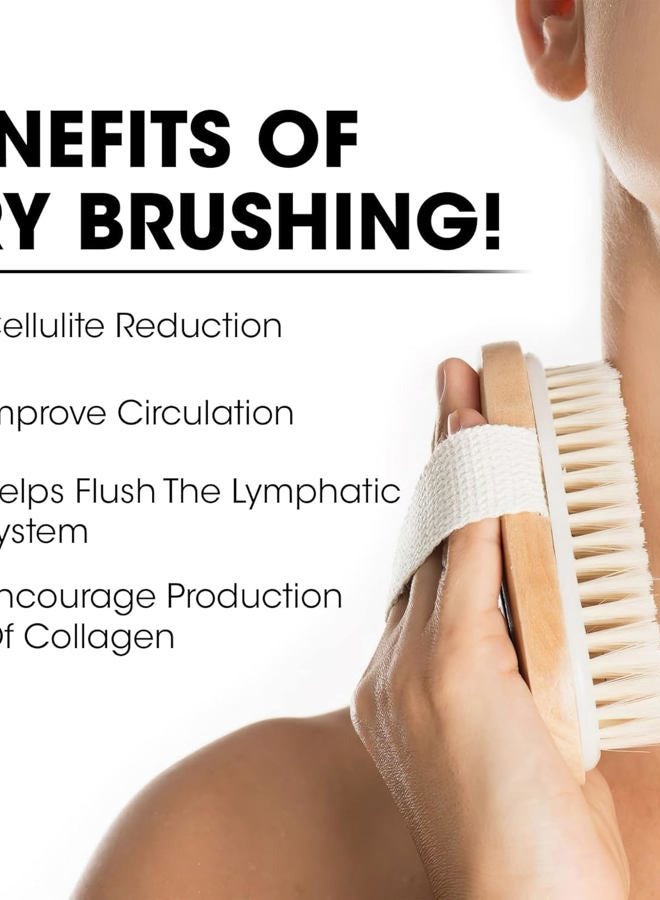 Opaz Dry Body Brush 2 Pack Natural Bristle for Dry Skin - Exfoliator Scrubber - Wet or Dry Scrub Smooth Cellulite - Stimulate Blood Flow - Image 3