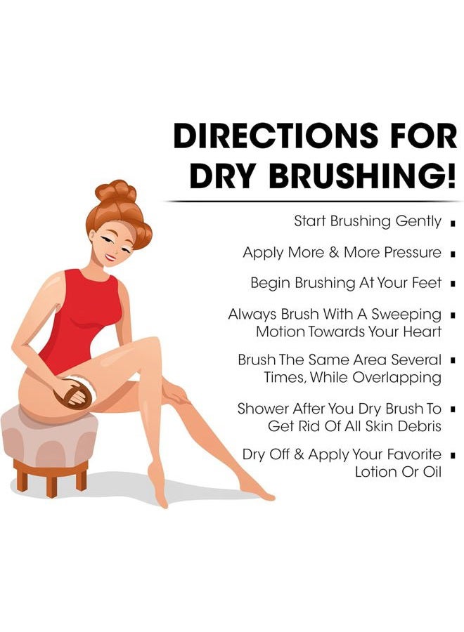 Opaz Dry Body Brush 2 Pack Natural Bristle for Dry Skin - Exfoliator Scrubber - Wet or Dry Scrub Smooth Cellulite - Stimulate Blood Flow - Image 4