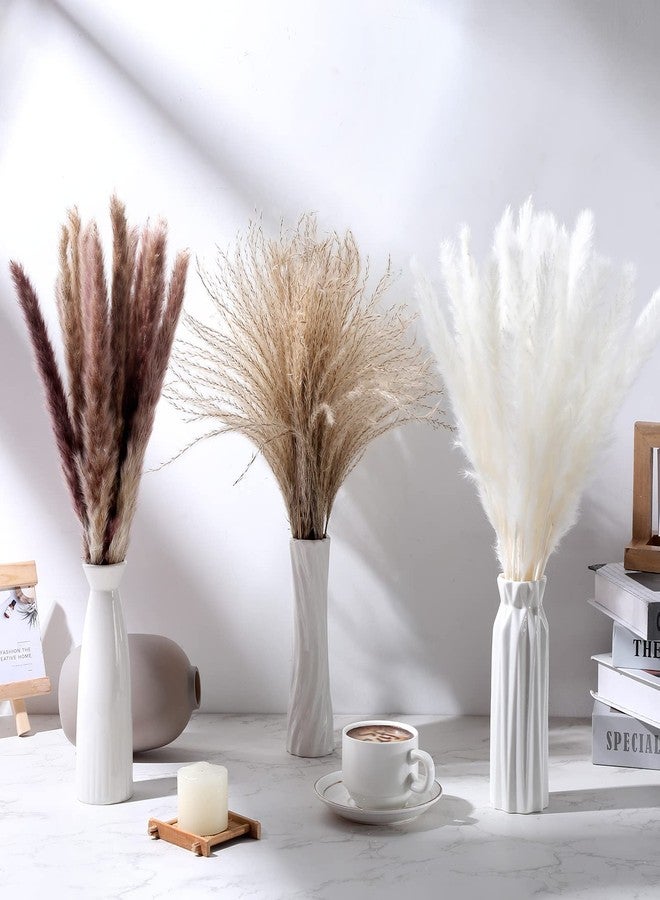 جانينكا 200 قطعة من عشب البامباس المجفف لتزيين حفلات الزفاف، بطول 17 بوصة، باقة من عشب البامباس البني والأبيض، مناسبة لحفلات الزفاف والمناسبات المنزلية والحفلات الريفية. - Image 3