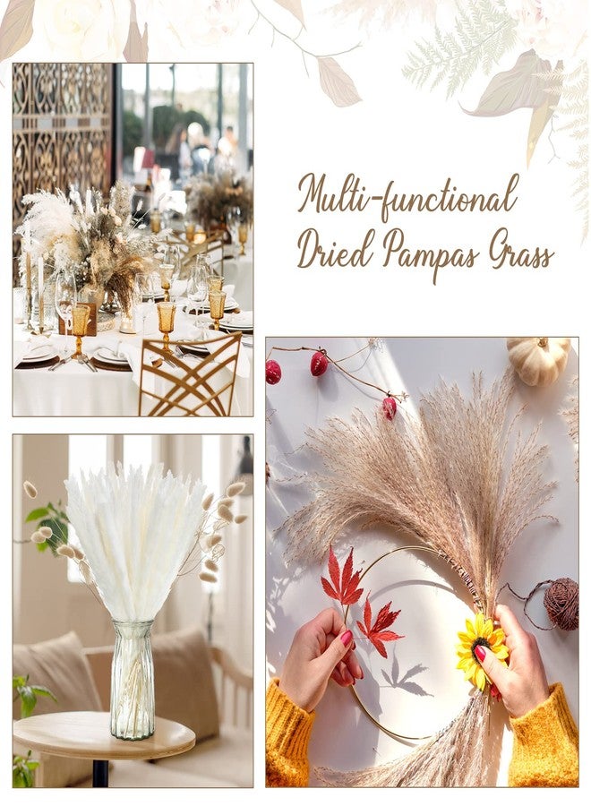 جانينكا 200 قطعة من عشب البامباس المجفف لتزيين حفلات الزفاف، بطول 17 بوصة، باقة من عشب البامباس البني والأبيض، مناسبة لحفلات الزفاف والمناسبات المنزلية والحفلات الريفية. - Image 4