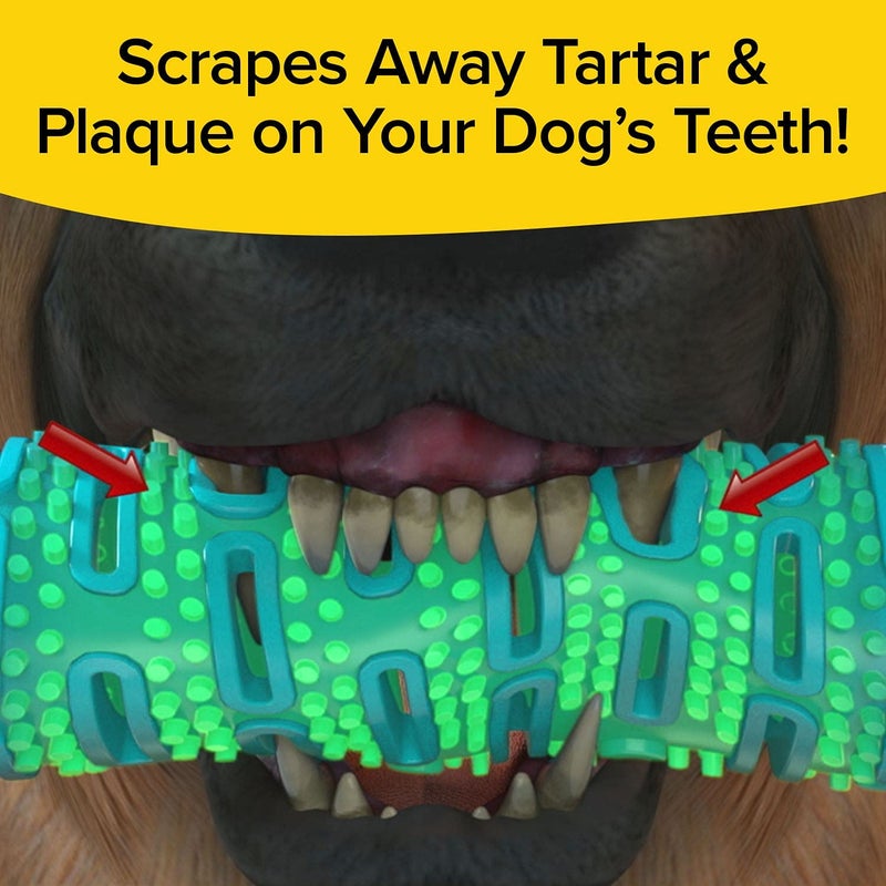 BulbHead BrushBone As Seen On TV Doggy Toothbrush Chew Toy, Plaque & Tartar Remover, Works 3 Ways to Clean While They Play, Invented by a Dentist, Add Peanut Butter or Cheese, Brush Bone - Image 4