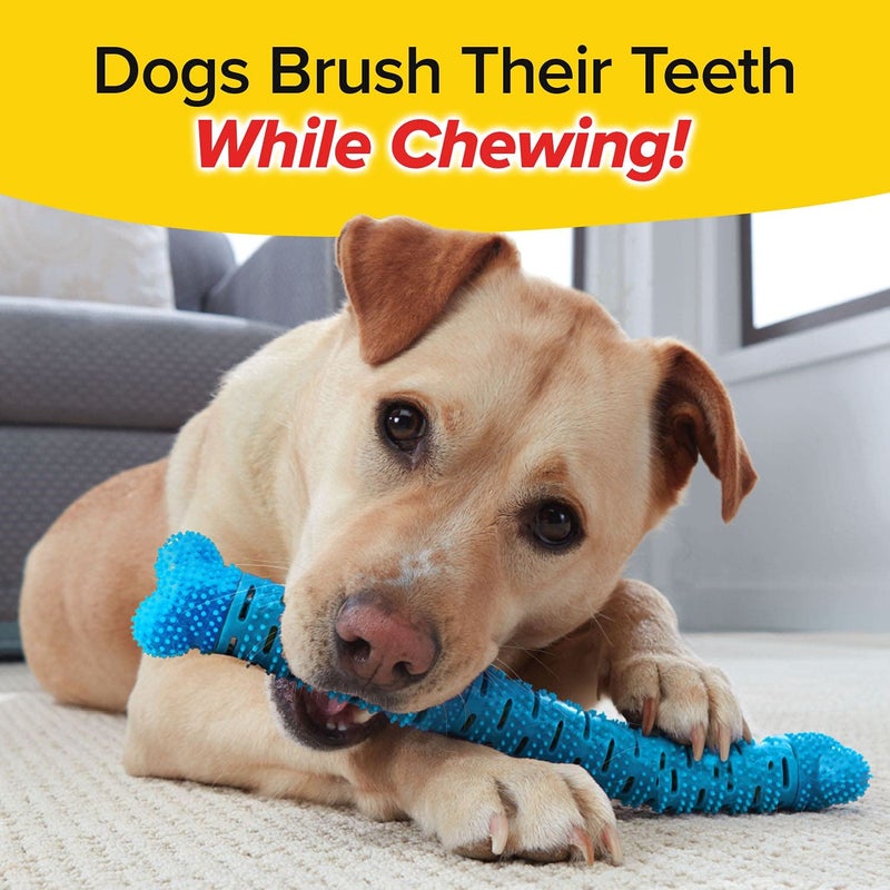 BulbHead BrushBone As Seen On TV Doggy Toothbrush Chew Toy, Plaque & Tartar Remover, Works 3 Ways to Clean While They Play, Invented by a Dentist, Add Peanut Butter or Cheese, Brush Bone - Image 2