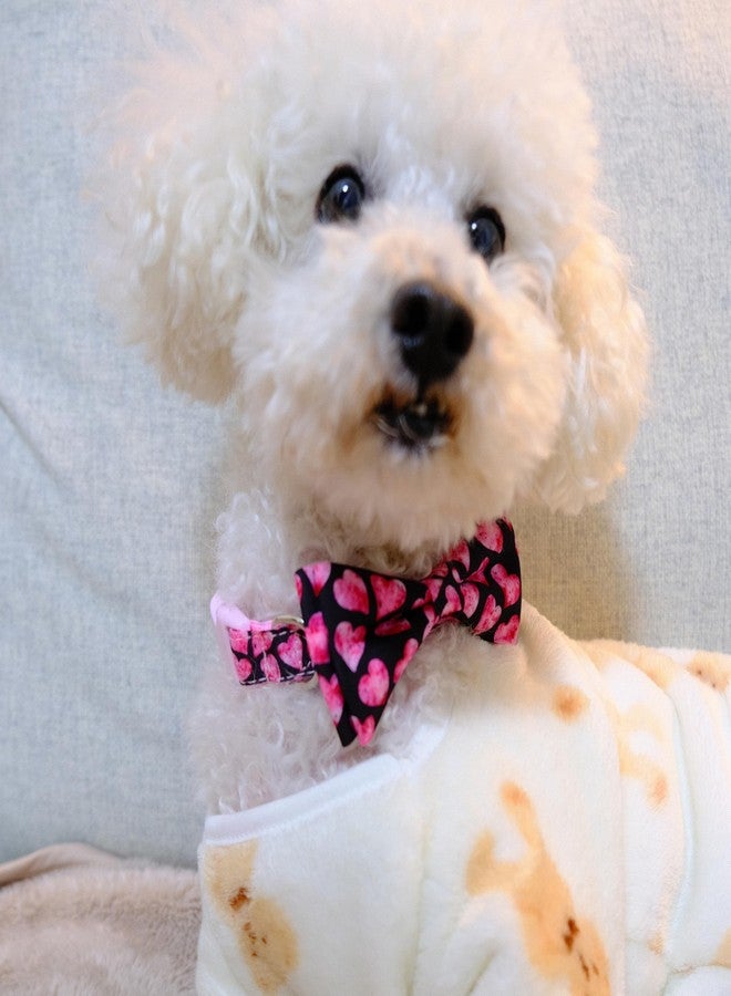 YAODHAOD Cat Strip Squeeze Spoon, Cat Wet Treats Dispense Spoon, 2PCS - Image 3