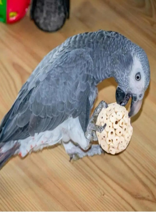 Interactive Bird Toy - Natural Wooden Sola Balls (Bird Interactive Toy Natural Sola Wooden Balls) - Image 3