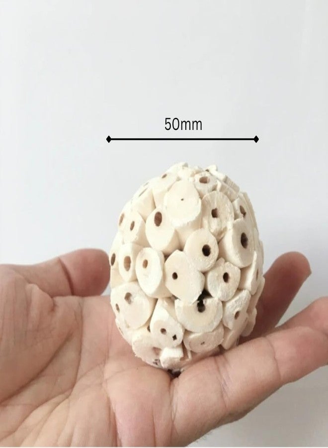 Interactive Bird Toy - Natural Wooden Sola Balls (Bird Interactive Toy Natural Sola Wooden Balls) - Image 2