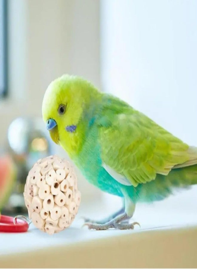 Interactive Bird Toy - Natural Wooden Sola Balls (Bird Interactive Toy Natural Sola Wooden Balls) - Image 4