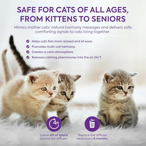 TopSum Cat Calming Pheromone Diffuser: Feline Pheromones Plug in for Stress, Along At Home, Spraying, Fighting, Scratching, Aggression & Excessive Meowing (Purple– 2 Refills) - Image 5