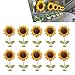 Qurbuns 10 PCS Car Wobble SunFlower Ornaments Car Dashboard Sunflower Decorations Funny Shaking Sun Flowers Decorations Universal for Most Cars - Image 2