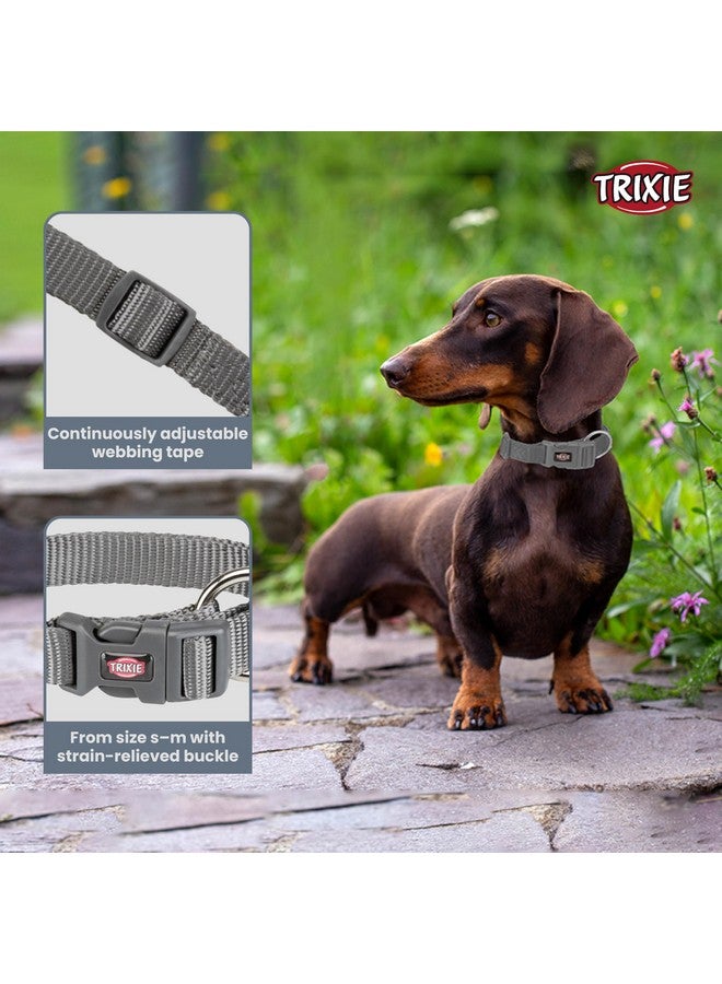 تريكسي طوق فاخر | طوق نايلون للكلاب قابل للتعديل مع مشبك بلاستيكي للإغلاق | متين ومقاوم للتمزق، مفيد في التدريب الأساسي لكلبك - 40-65 سم/25 مم، L-XL، جرافيت (عبوة من 3 قطع) - Image 2