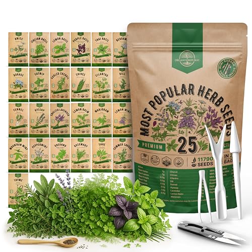 Organo Republic 25 Most Popular Herb Seeds Variety Pack - 11,700 Non-GMO Heirloom Seeds for Planting Herbs in Individual Seed Packets for Hydroponic, Indoor & Outdoor Gardening - Image 1