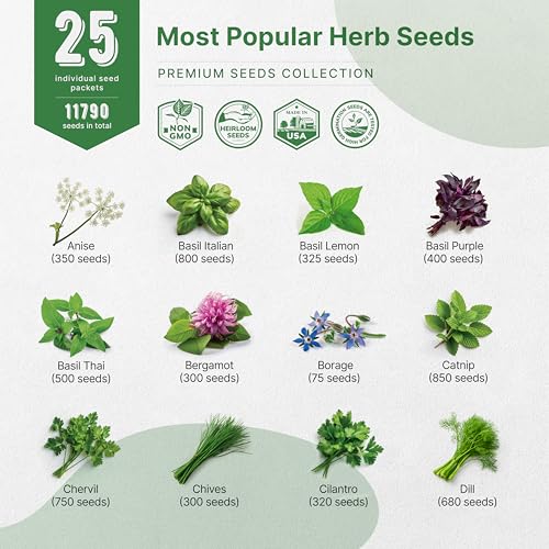 Organo Republic 25 Most Popular Herb Seeds Variety Pack - 11,700 Non-GMO Heirloom Seeds for Planting Herbs in Individual Seed Packets for Hydroponic, Indoor & Outdoor Gardening - Image 3