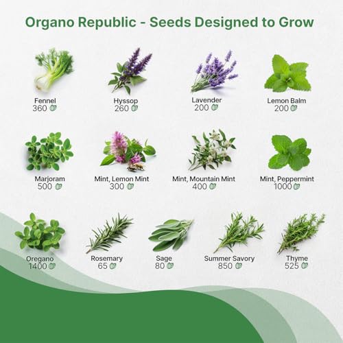 Organo Republic 25 Most Popular Herb Seeds Variety Pack - 11,700 Non-GMO Heirloom Seeds for Planting Herbs in Individual Seed Packets for Hydroponic, Indoor & Outdoor Gardening - Image 4