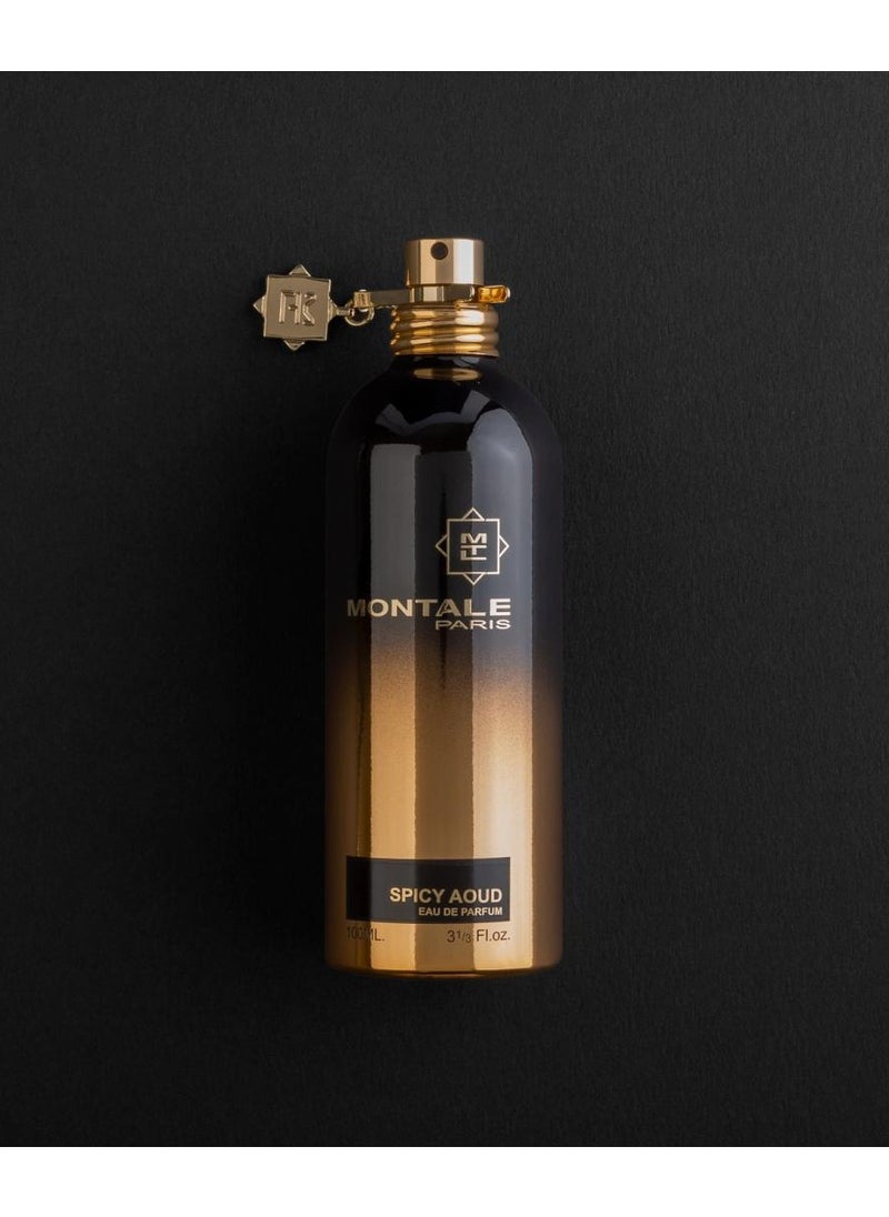 Montale Paris (Europe) Spicy Aoud EDP 100ml  - Image 2