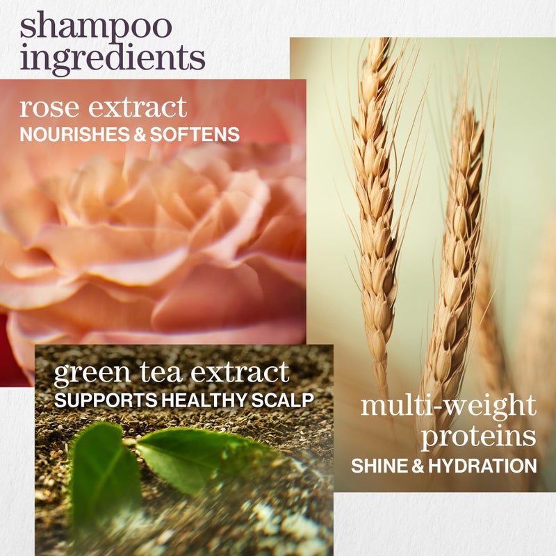 Pureology Hydrate Shampoo & Conditioner Set - For Dry or Color-Treated Hair, Intense Hydration & Softness, With Rose Extract & Green Tea, Vegan & Sulfate-Free, 9 Fl Oz - Image 4