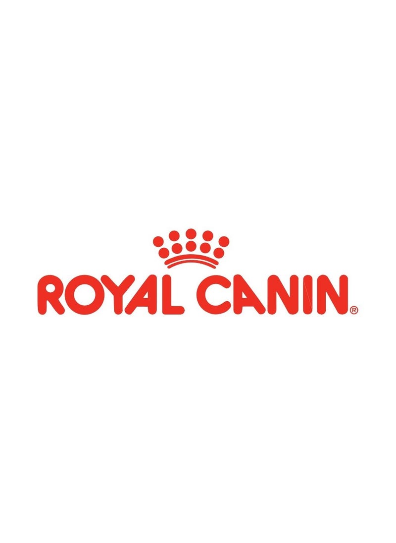 ROYAL CANIN Royal Canin - Feline Health Nutrition Fit 32 Cat Food 2kg & Instinctive Adult Cats Jelly (WET FOOD - Pouches) 12x85g Bundle Pack  - Image 2