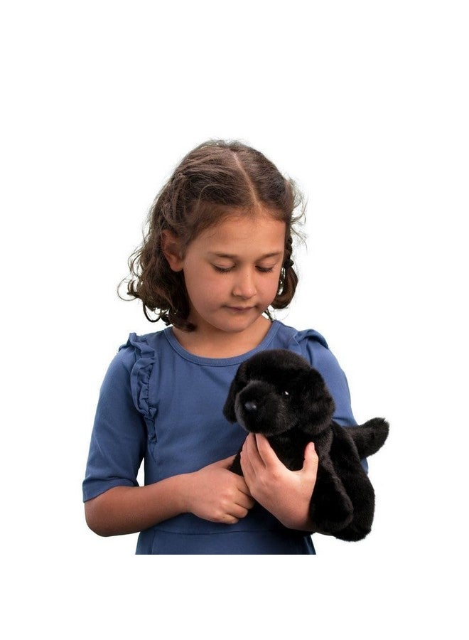 Douglas دب دوغلاس بلاك لاب دوج دمية محشوة - Image 2