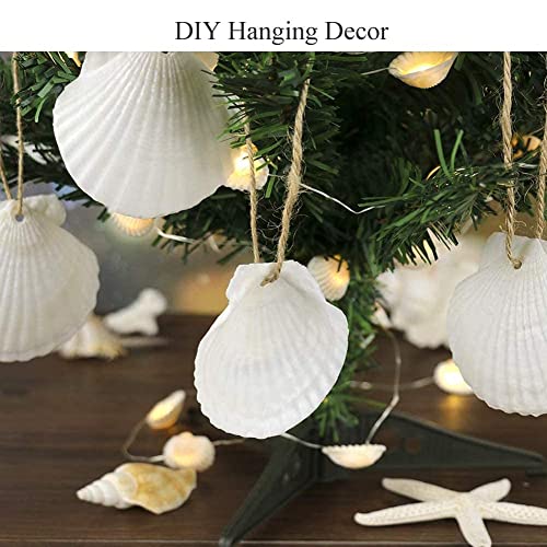 SINKOO 25 PCS Small Scallop Shells 2"-3" White Natural Seashell for DIY Craft Mermaid Beach Wedding Home Decoration - Image 4