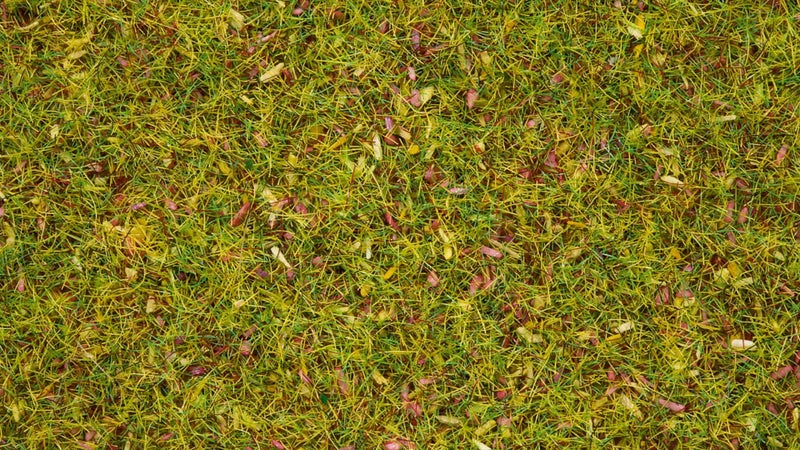 Noch 8330 Grass Flowering Mdw 20g G,0,H0,TT,N,Z Scale - Image 2