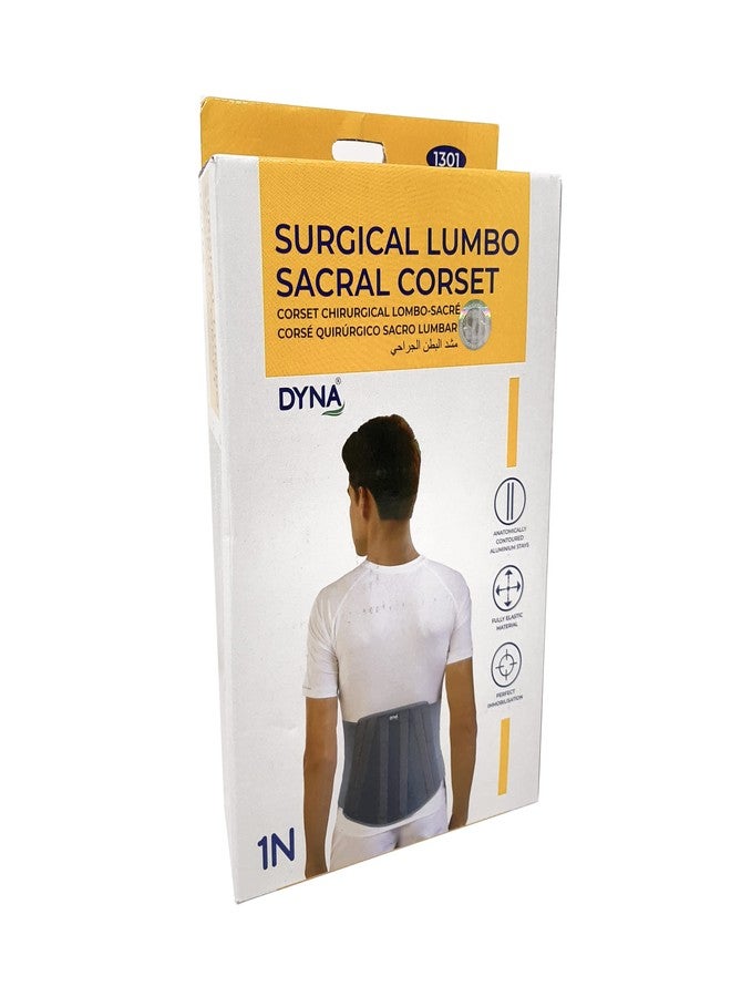Dyna Lumbo Sacral Belt! Anatomically Contoured Foam Lumbo Sacral Support Corset For Back Pain (Large(36-40 Inches)) - Image 2