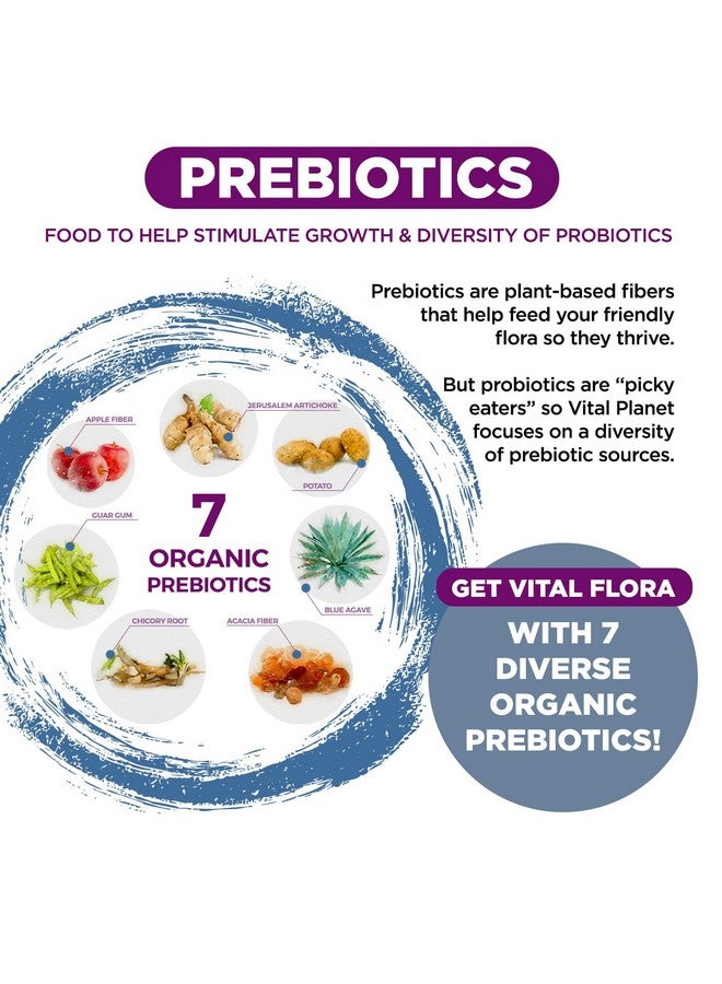 فيتل بلانت Vital Planet - Vital Flora Women Over 55 Daily Probiotic، 60 مليار وحدة تشكيل مستعمرة، سلالات متنوعة، بريبايوتيك عضوي، دعم مهبلي ومناعي، بروبيوتيك لصحة الجهاز الهضمي للنساء 60 كبسولة - Image 5