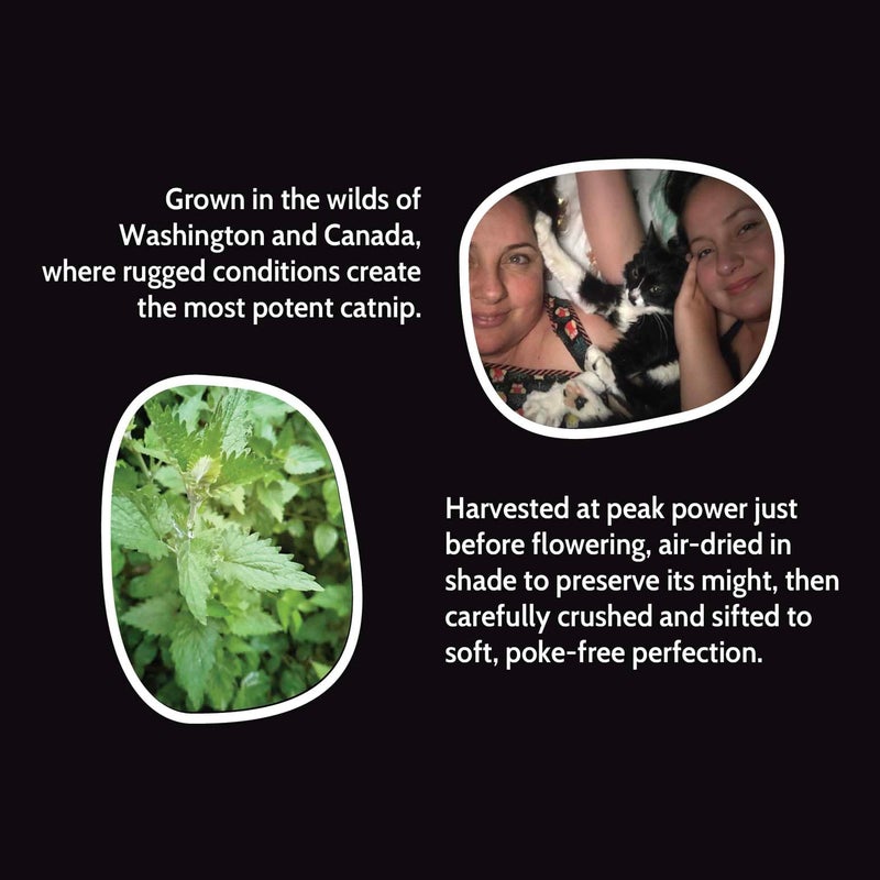 Fiend Catnip for Cats | Enhanced with SilverVine | Safety-Cut Premium Cat Nip with Vegan Silvervine + Sticker | Ultra Potent and Super Soft Catnip Silvervine Blend - Image 4