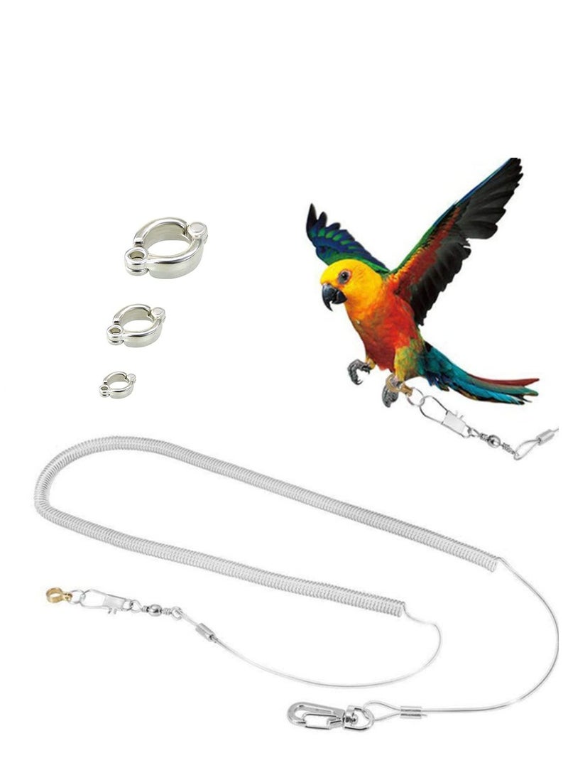 Parrot Flying Rope, 3 Meters Parrot Foot Chain Flying Training Outdoor，Anti-Bite Elastic String Training Harness,Bird Training Rope Bird For Pet,Clear. - Image 1