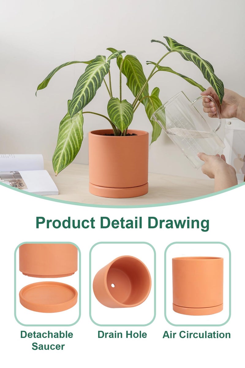 vensovo Terracotta Pots with Drainage and Saucers - 3.5/4.2/5.2/6.0 Inch Clay Planters Set of 4, Round Cylinder Flower Pots for Succulents, Herbs, Indoor Outdoor Plants - Image 5