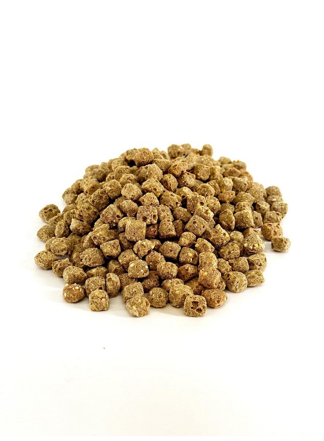 Harrison's Bird Foods Harrison's Bird Foods Pepper Lifetime Coarse Certified Organic Non-GMO Formula Bird Food 1lb  - Image 2