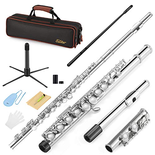 Eastar Closed Hole 16 Keys Flute for Beginner Kids Student with Cleaning Kit, Stand, Case, Gloves, Tuning Rod, Nickel, EFL-1 - Image 1