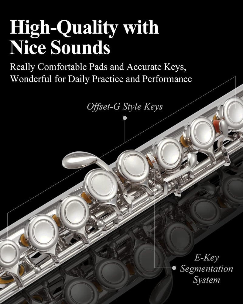 Eastar Closed Hole 16 Keys Flute for Beginner Kids Student with Cleaning Kit, Stand, Case, Gloves, Tuning Rod, Nickel, EFL-1 - Image 4