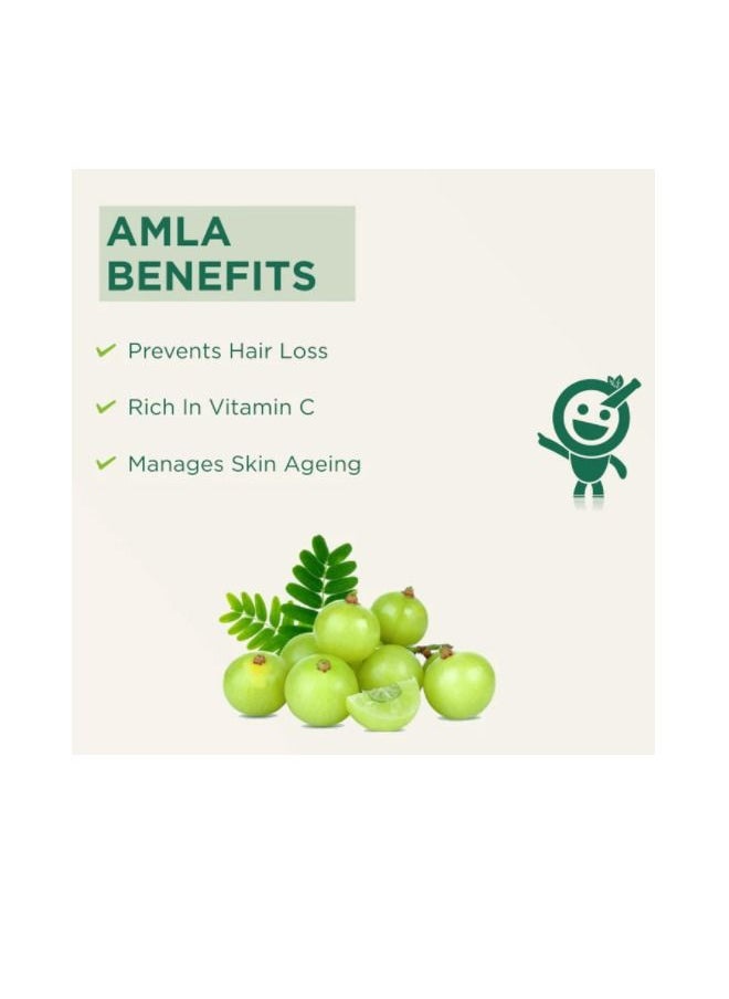Vitro Naturals - Amla Candy Premium Indian Gooseberry 350 G - Image 1