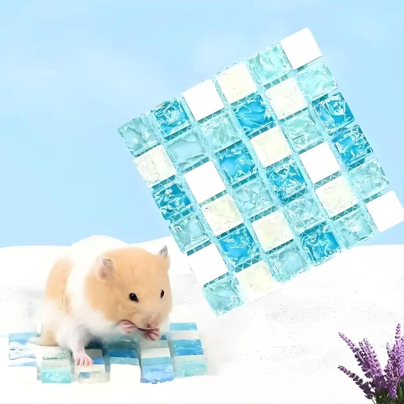 VAYINATO 1 Pcs (10 * 10 Cm) Crystal Mat Cooling Board for Hamsters & Rabbit | Summer Heat Relief Blanket with Transparent Design, Durable & Comfortable Pet Furniture for Small Pets - Image 1
