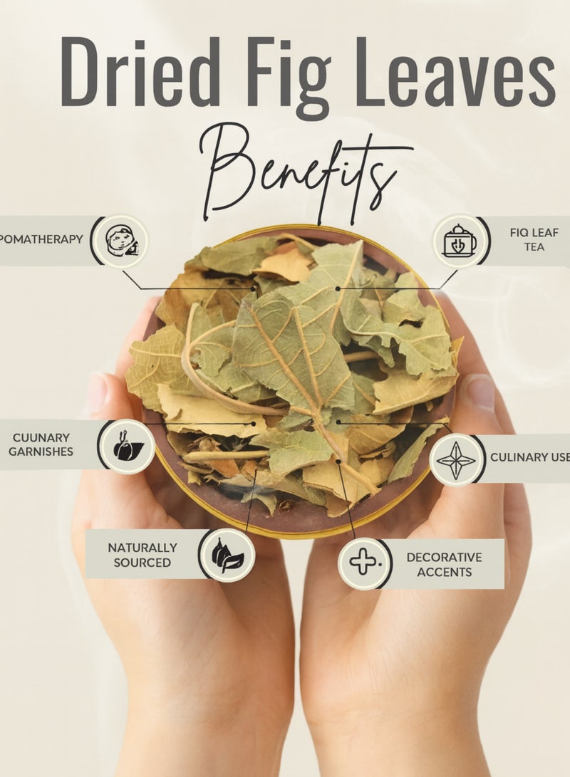 زهر أوراق التين النقية - أوراق مجففة ومفرزة يدويًا بنسبة 100%، عالية الجودة، مكون عشبي طبيعي للشاي والطبخ والعناية بالبشرة والشعر - جودة ممتازة - Image 5