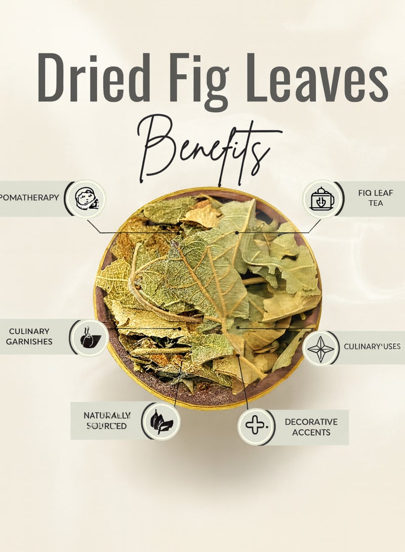 زهر أوراق التين النقية - أوراق مجففة ومفرزة يدويًا بنسبة 100%، عالية الجودة، مكون عشبي طبيعي للشاي والطبخ والعناية بالبشرة والشعر - جودة ممتازة - Image 4
