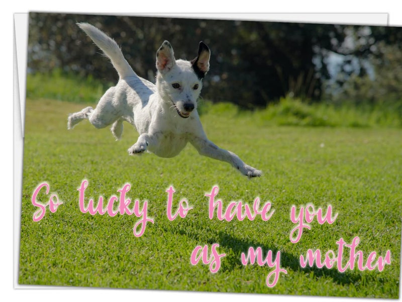 Glory To Dog So Lucky To Have You As My Mother Mother's Day Greeting Card - Image 3