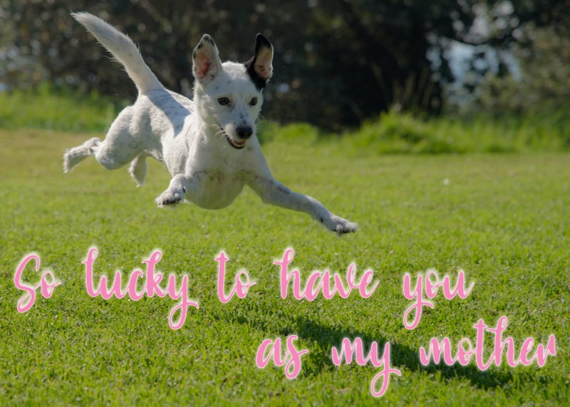 Glory To Dog So Lucky To Have You As My Mother Mother's Day Greeting Card - Image 5
